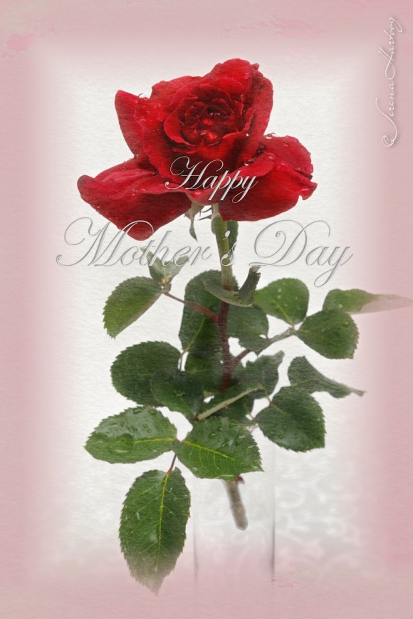 Happy Mother's Day