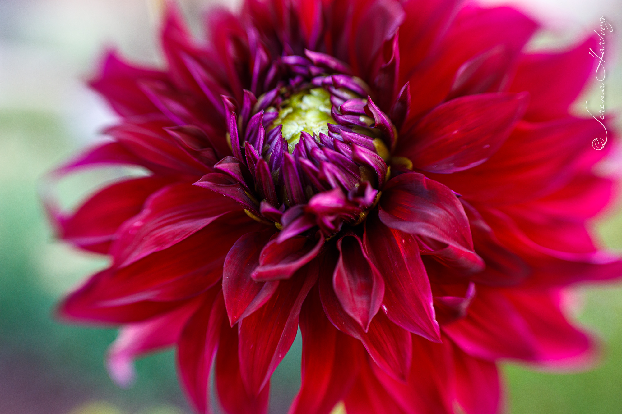 61. 交託耶和華，所謀必成 (箴 16: 3) @耶穌愛你-日富一日背誦聖經