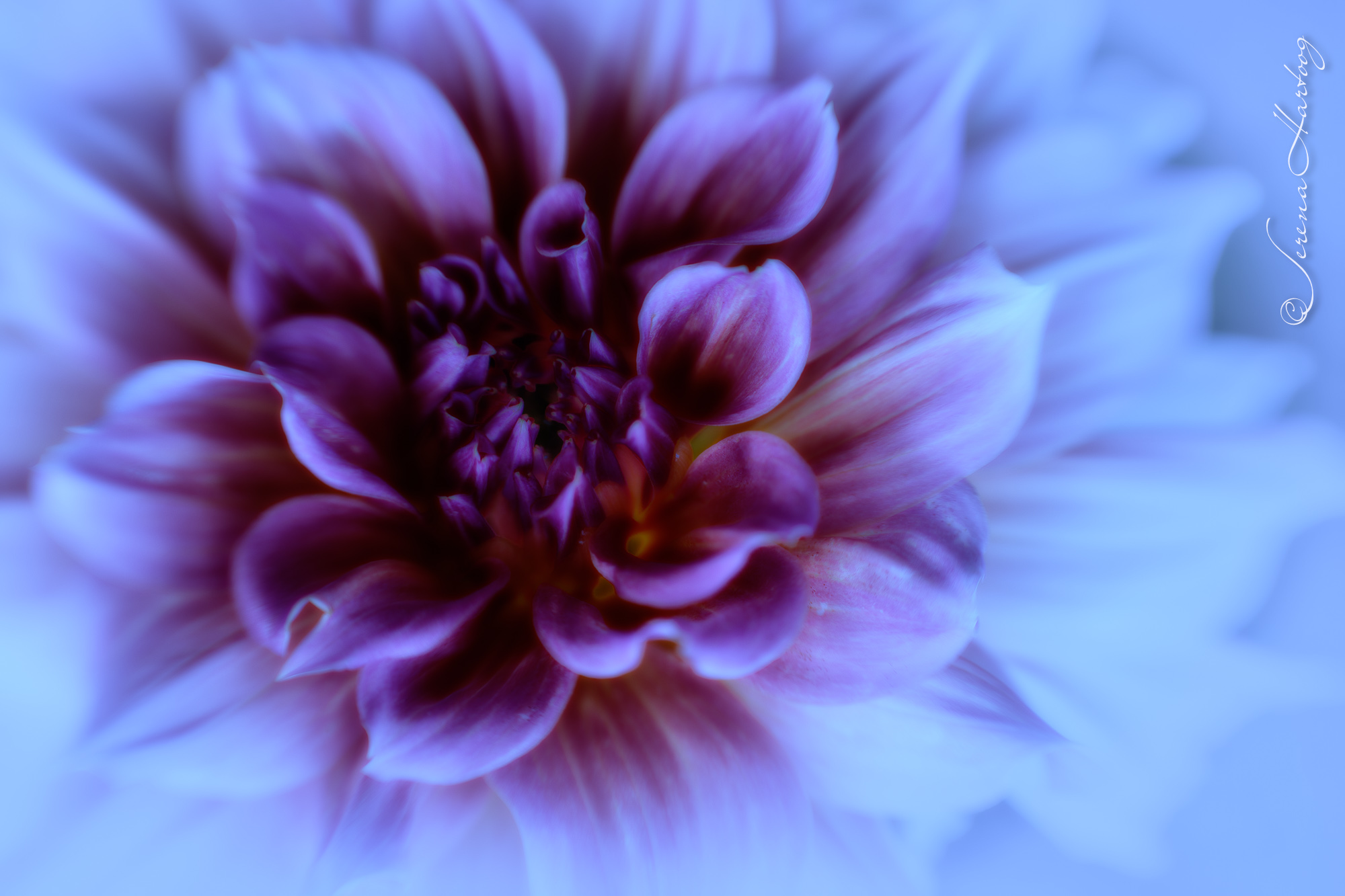 9. 安然睡覺 (詩 4:8) @耶穌愛你-日富一日背誦聖經