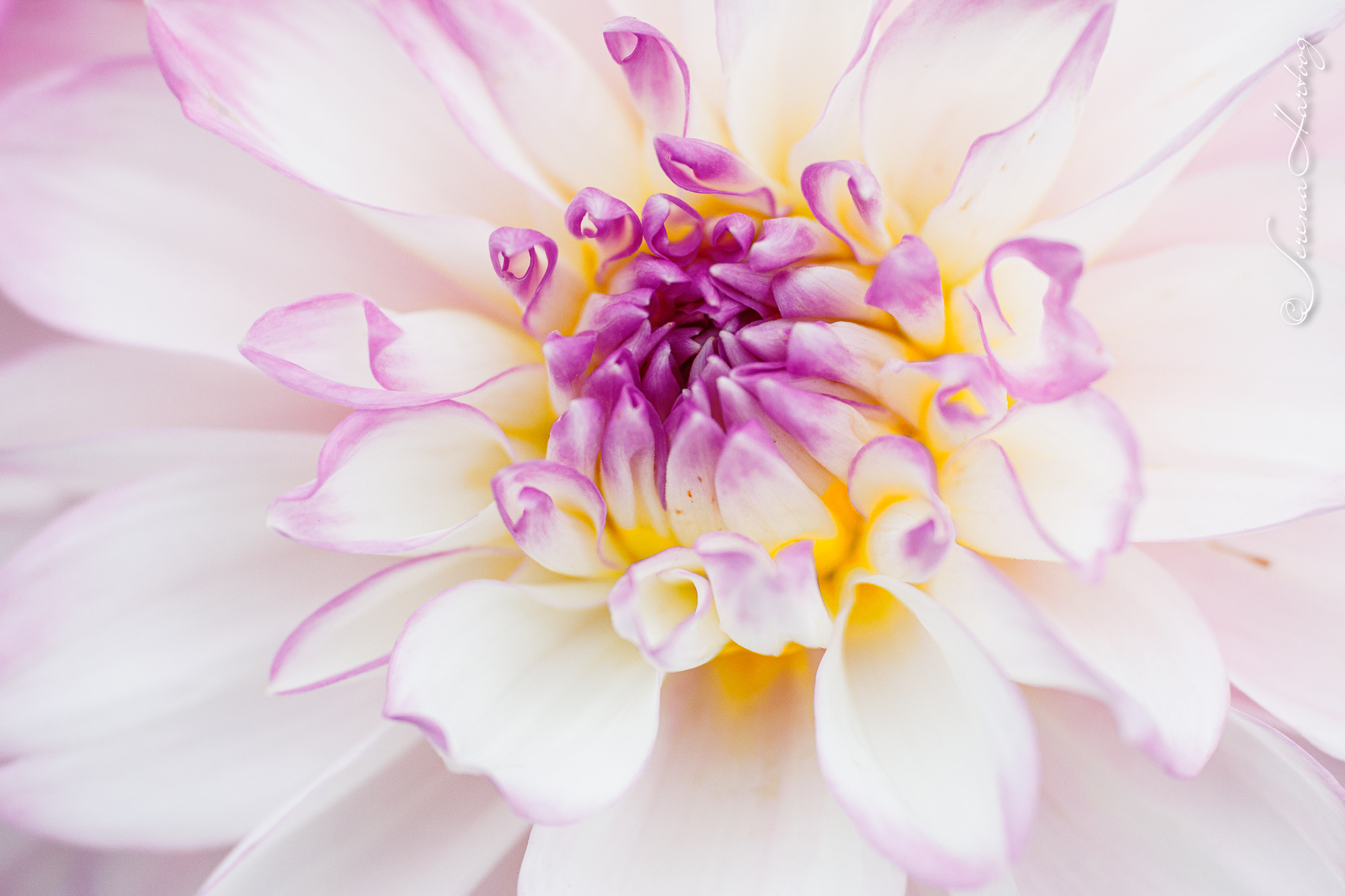 72. 我要向山舉目 (詩 121: 1-2) @耶穌愛你-日富一日背誦聖經