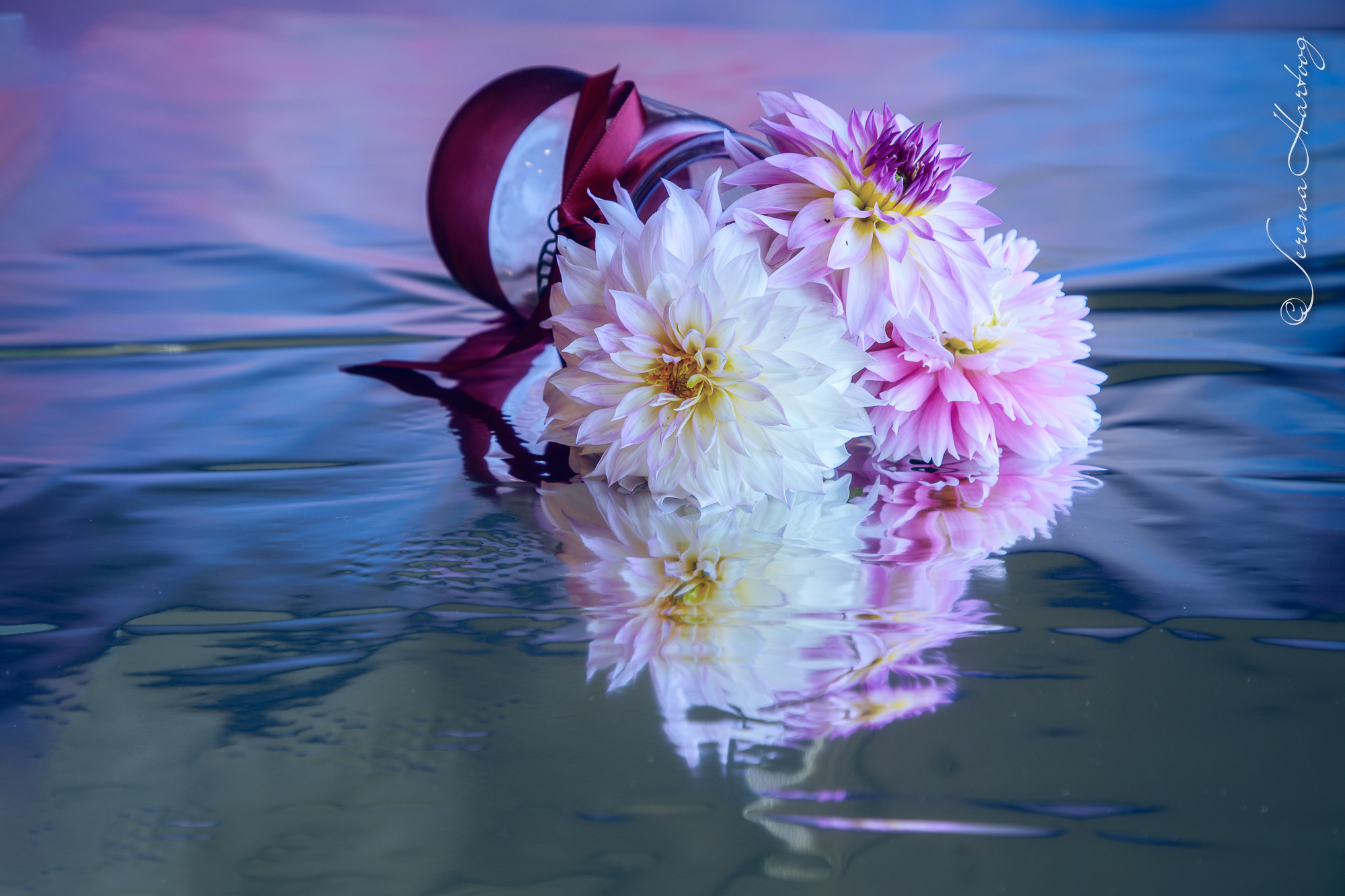 45. 以耶和華為樂 (詩 37: 4-5) @耶穌愛你-日富一日背誦聖經