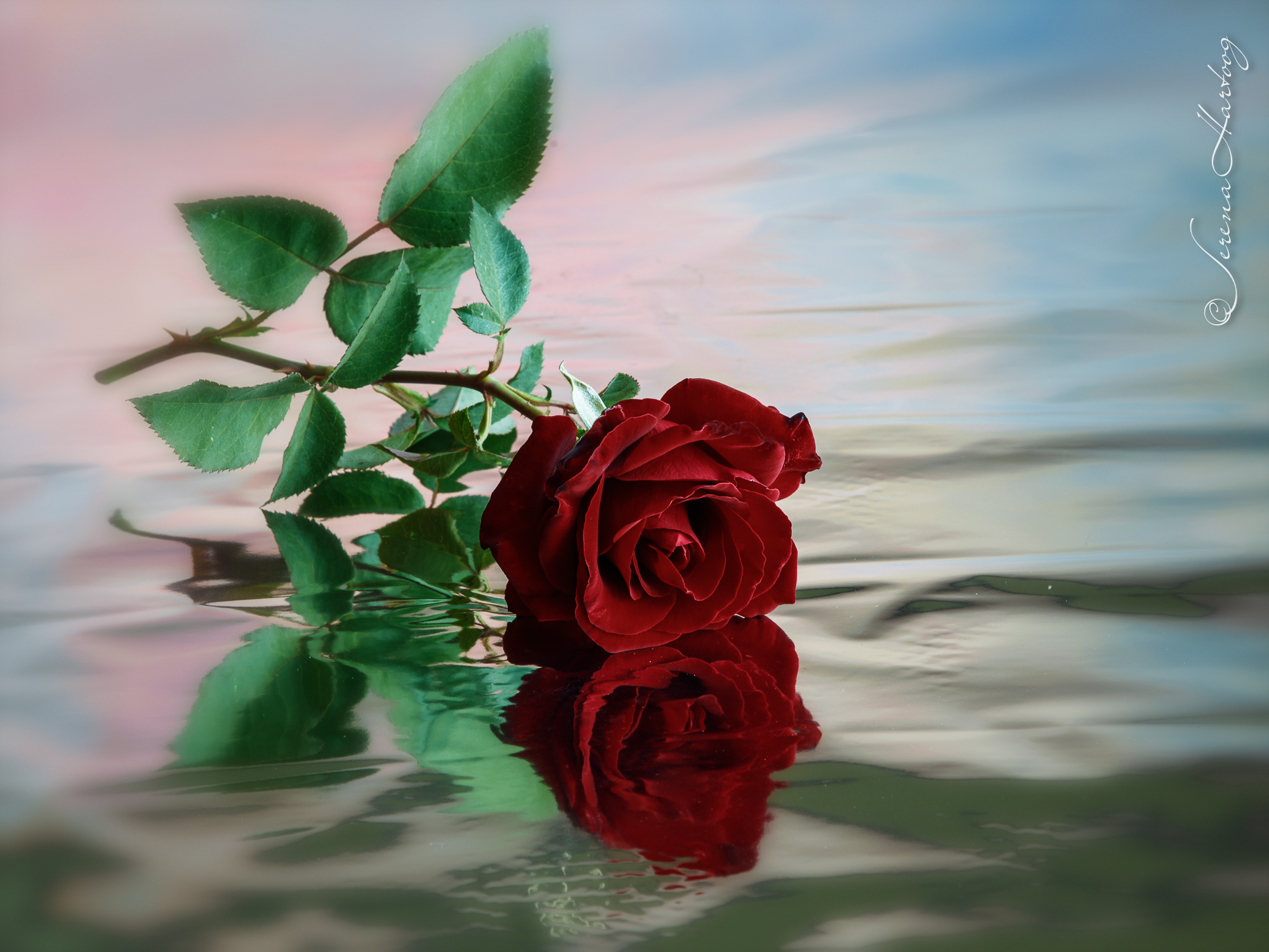 63. 鑒察心思意念 (詩 139: 23-24) @耶穌愛你-日富一日背誦聖經