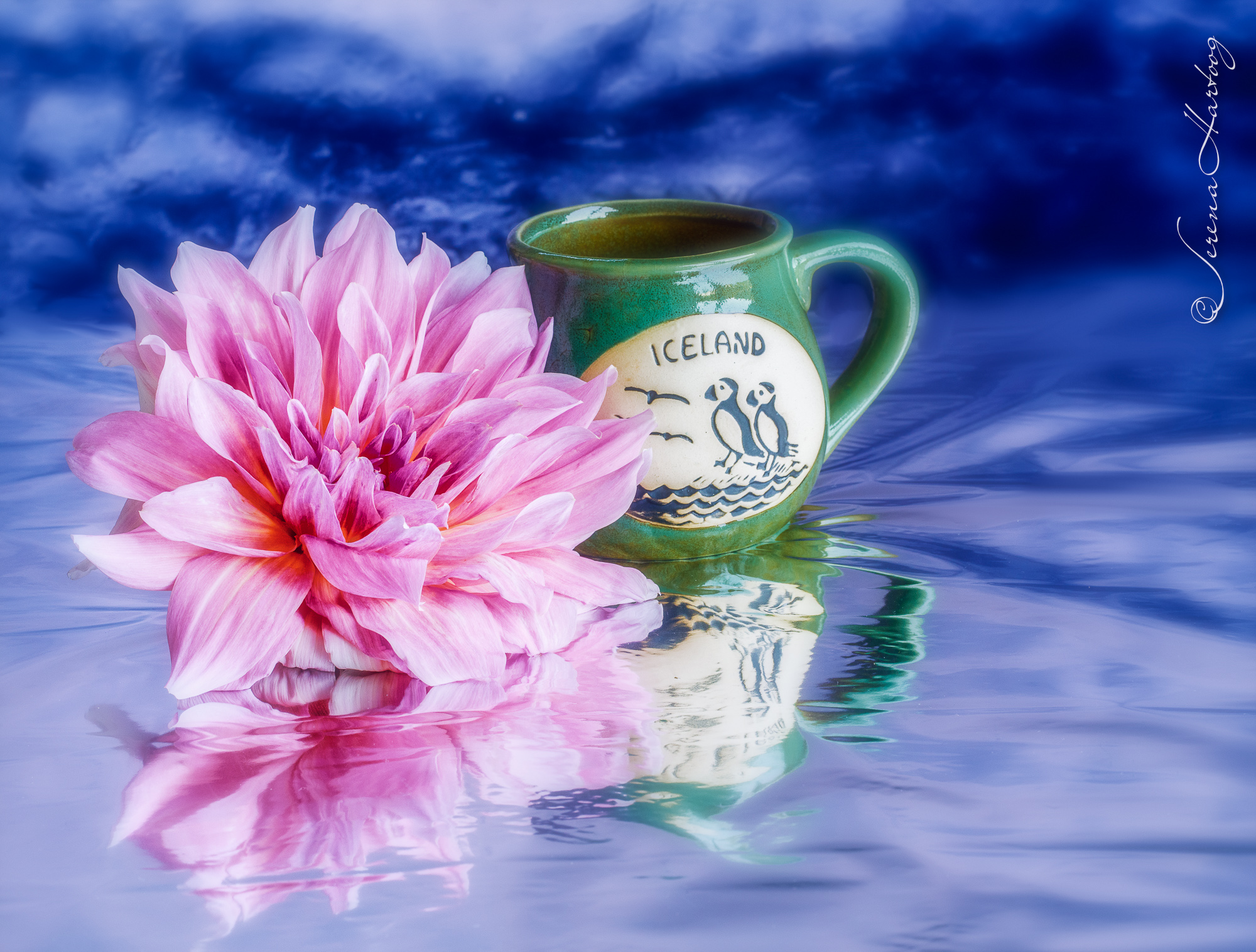 52. 願言語意念蒙悅納 (詩 19: 14) @耶穌愛你-日富一日背誦聖經