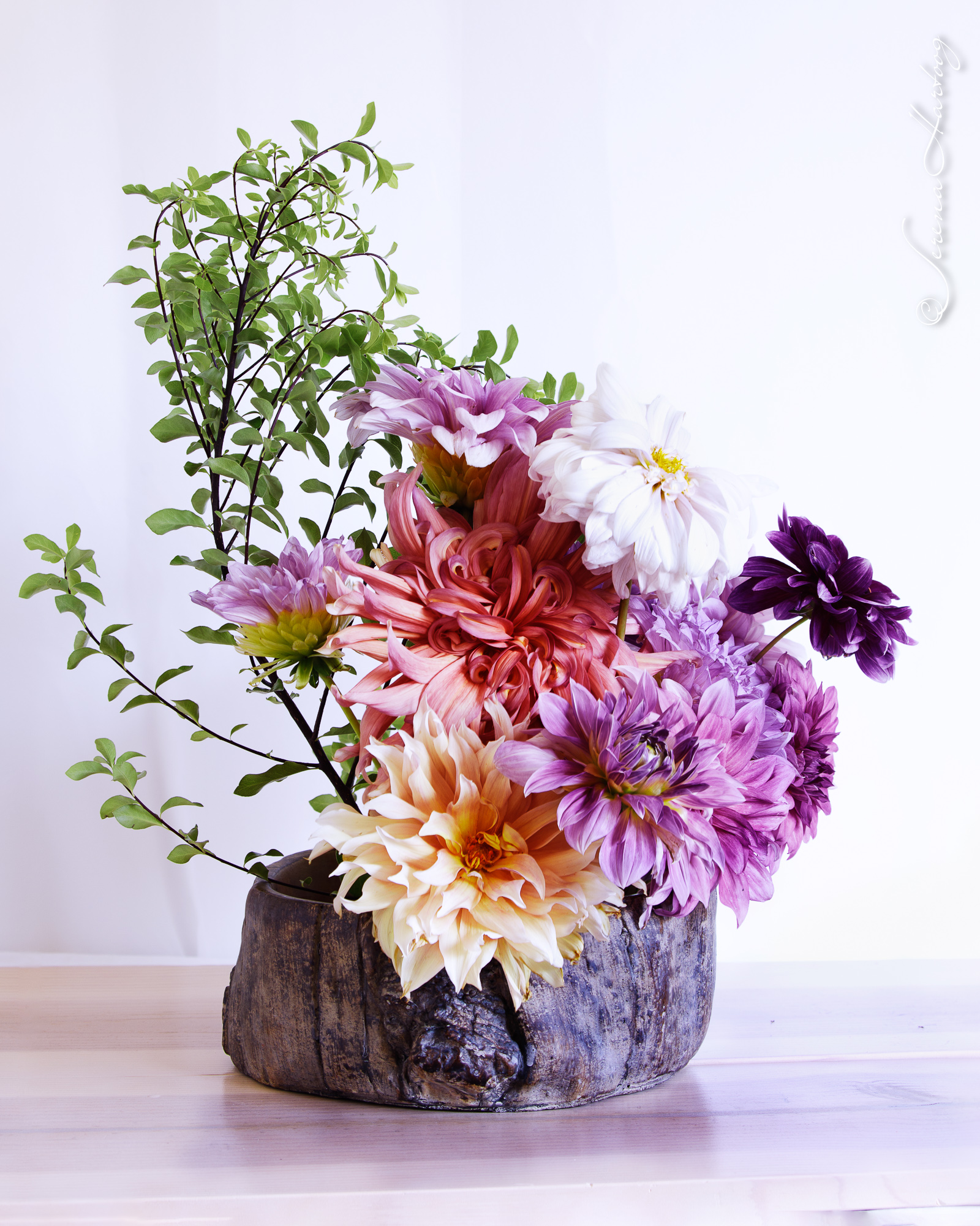 93. 回答柔和使怒消退 (箴 15: 1-2) @耶穌愛你-日富一日背誦聖經