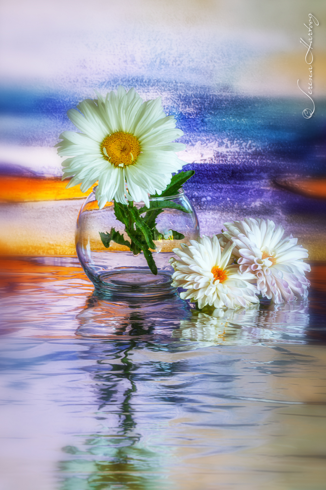 116. 你願意成為無愧的工人嗎? (提後 2: 15) @耶穌愛你-日富一日背誦聖經