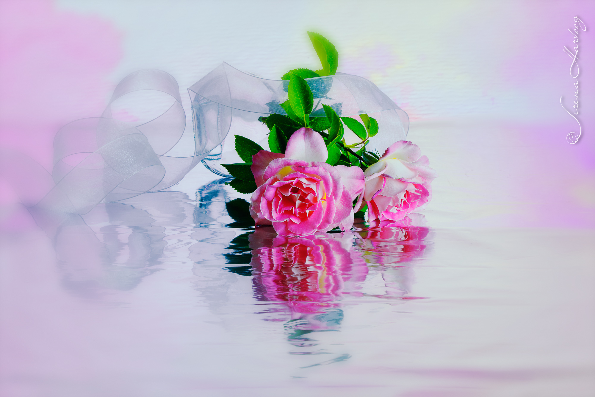 80. 神的名是堅固台 (箴 18: 9-10) @耶穌愛你-日富一日背誦聖經